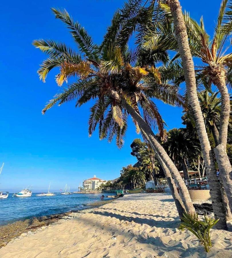 Gorgeous Oceanfront Villa With Panoramic Views Avalon Eksteriør bilde