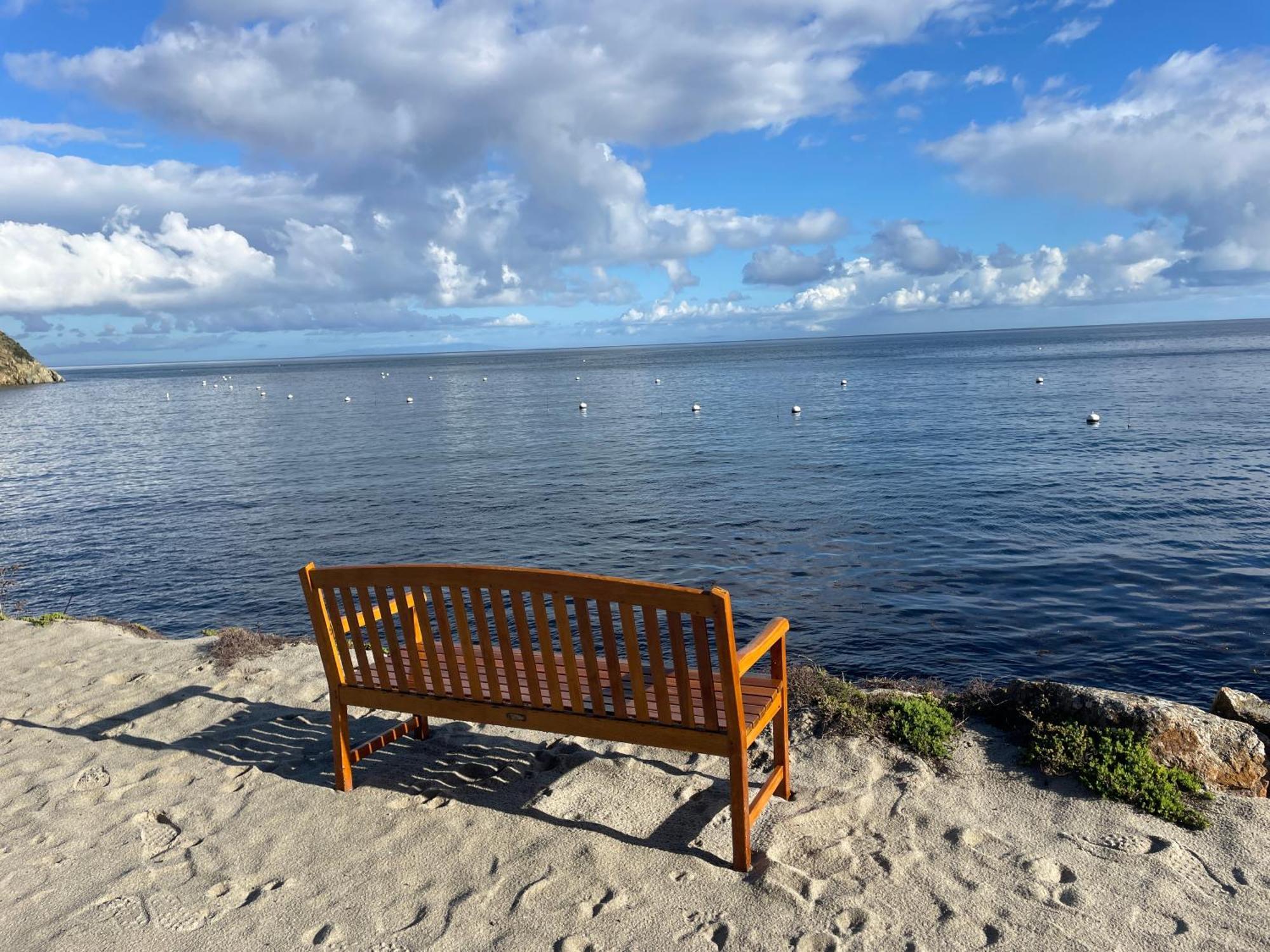 Gorgeous Oceanfront Villa With Panoramic Views Avalon Eksteriør bilde
